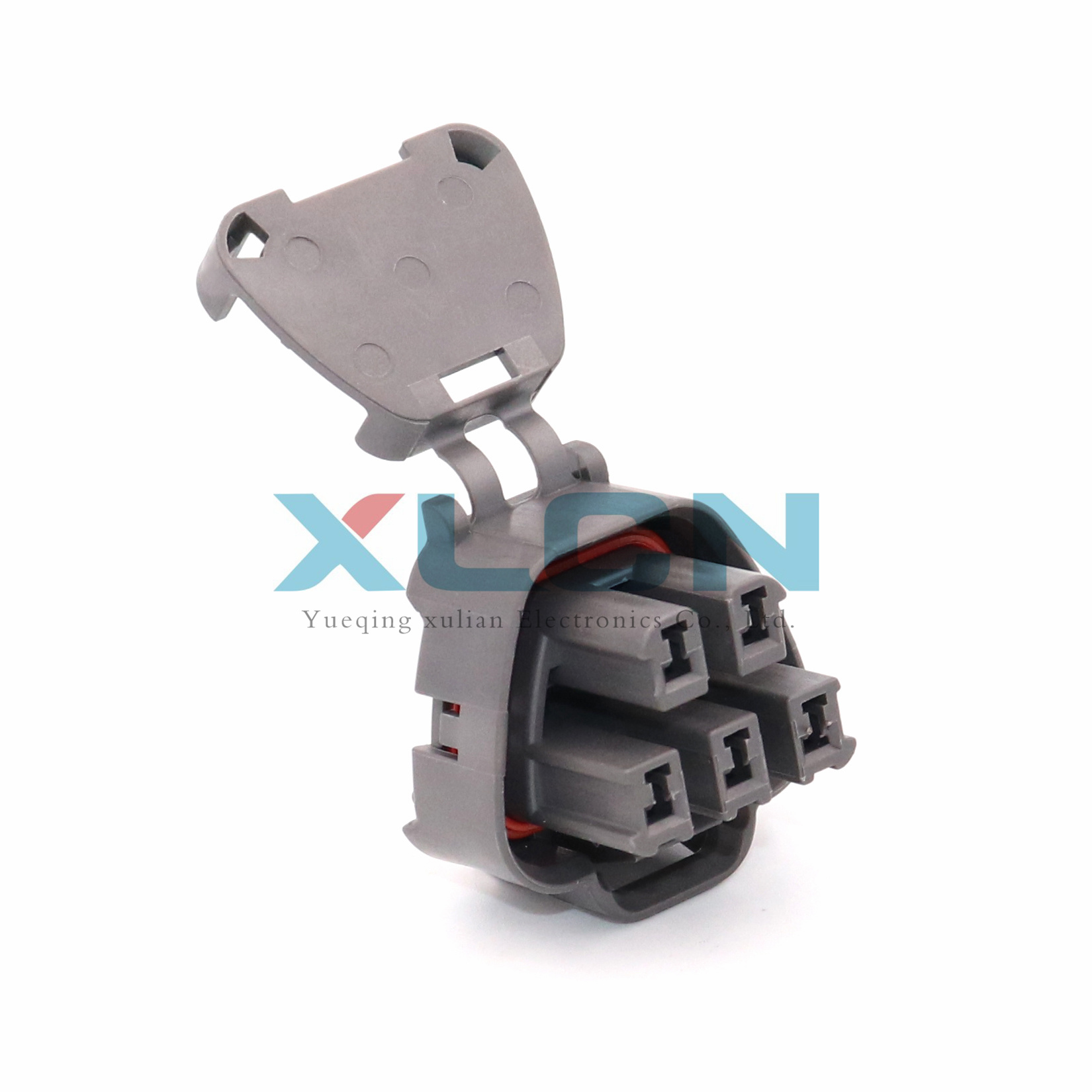 MG641521-4