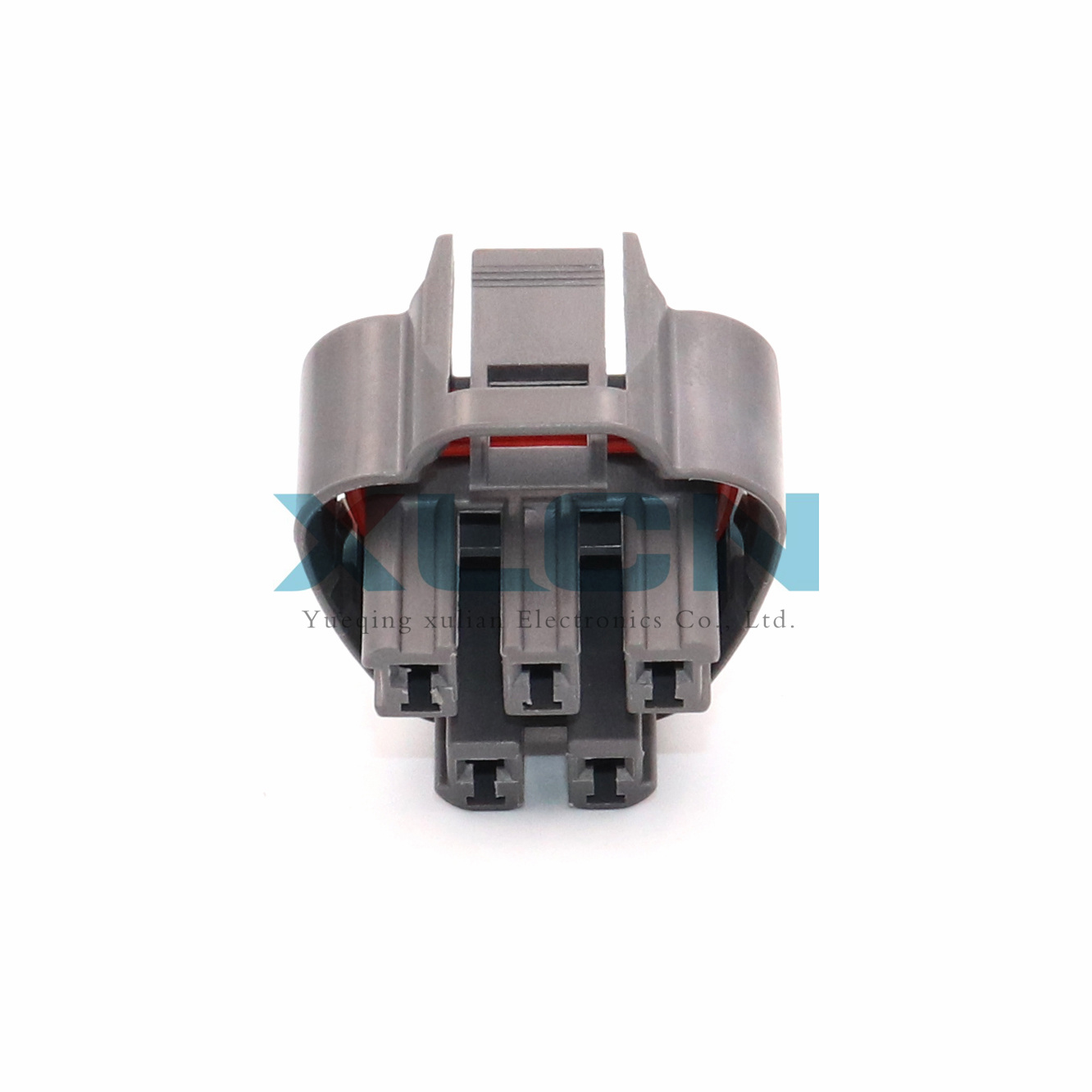 MG641521-4